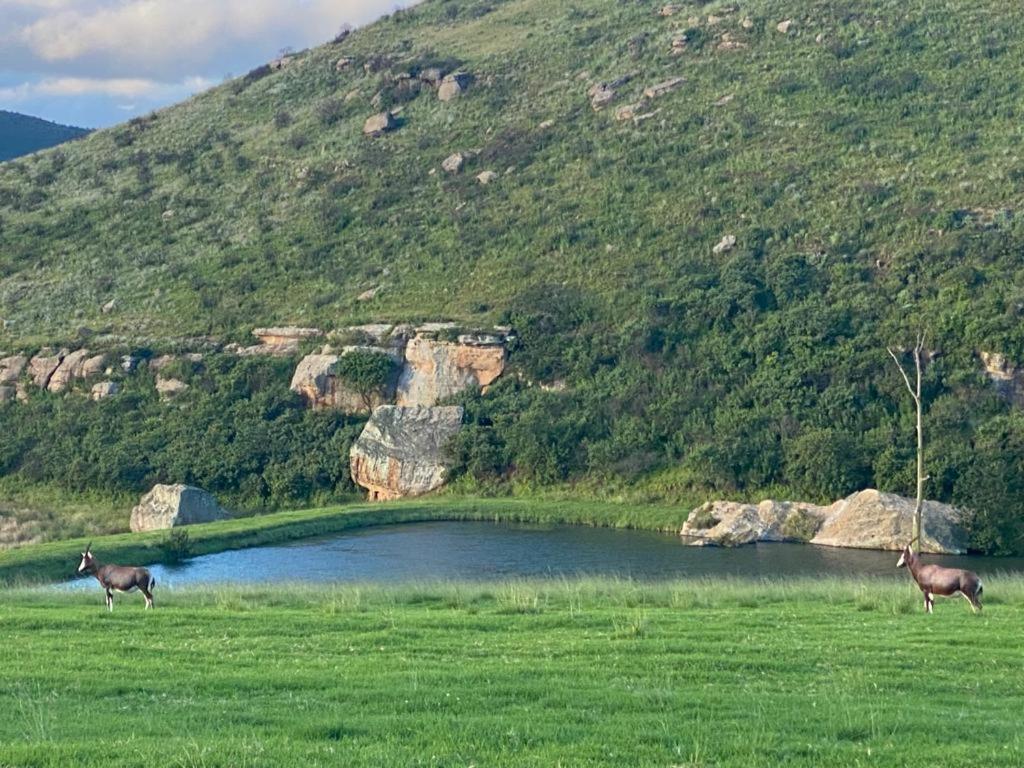 Wetlands Game Lodge Wakkerstroom 외부 사진