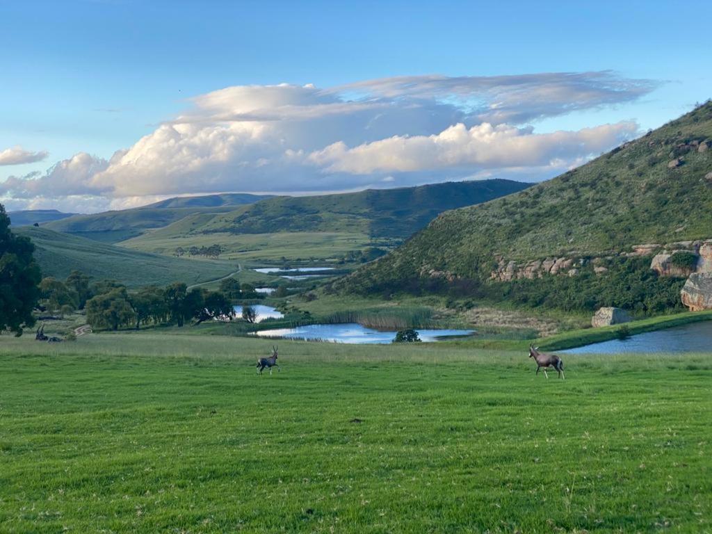 Wetlands Game Lodge Wakkerstroom 외부 사진