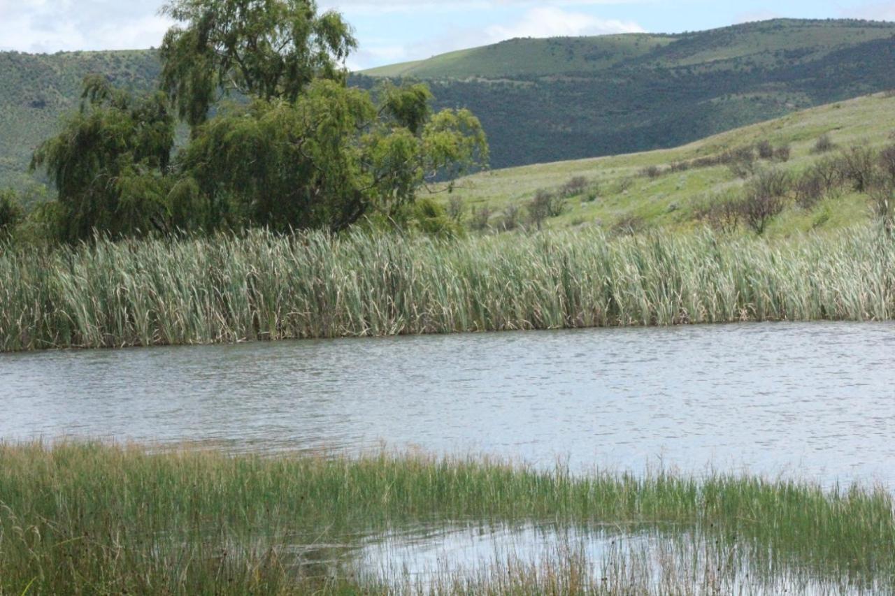 Wetlands Game Lodge Wakkerstroom 외부 사진