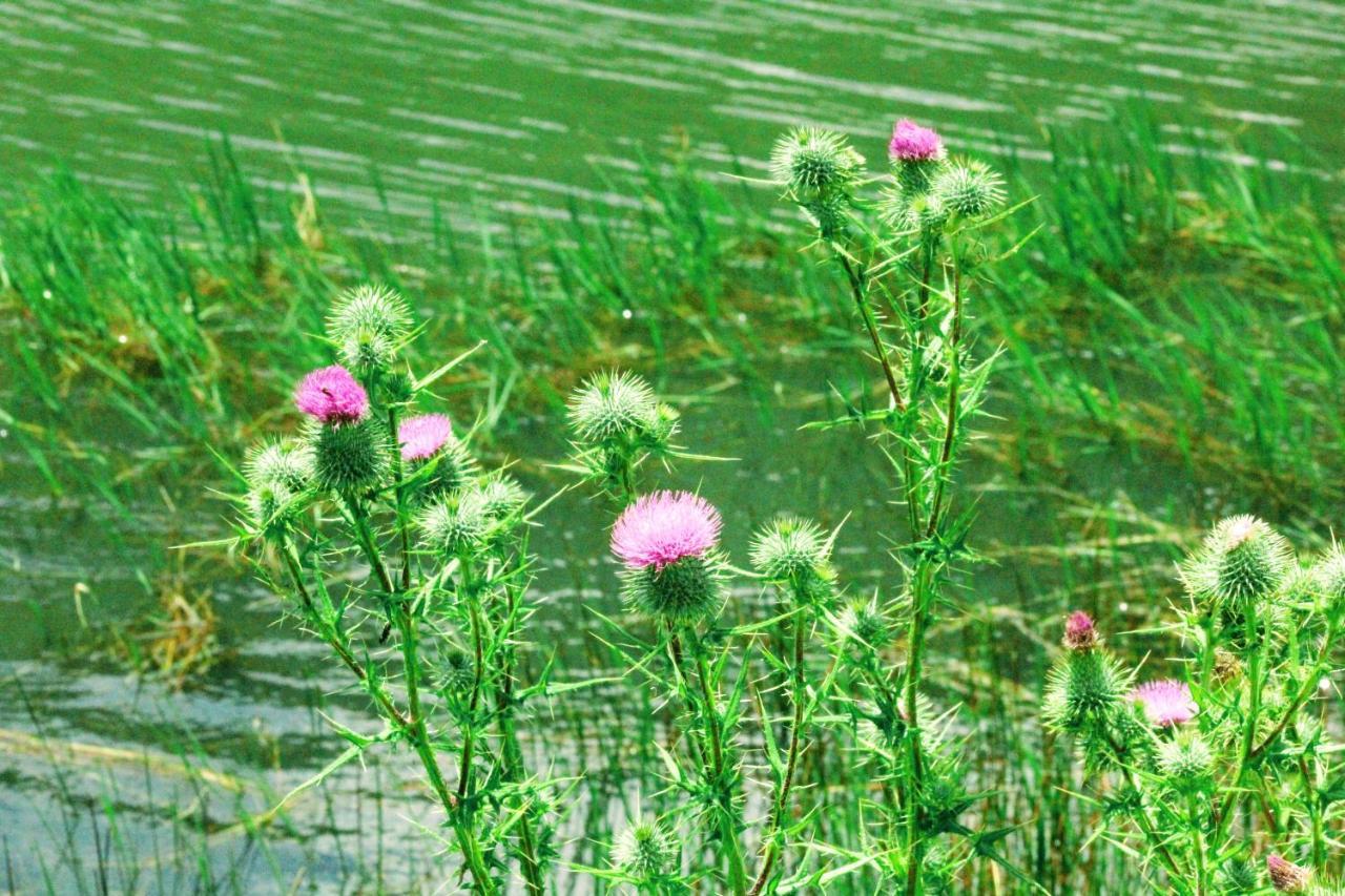 Wetlands Game Lodge Wakkerstroom 외부 사진